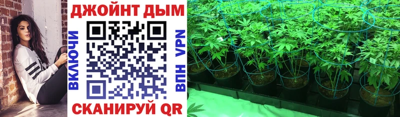 Канабис OG Kush  Очёр 